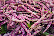 Load image into Gallery viewer, 25 Organic Dragons Tongue Bush Bean Vegetable Seeds