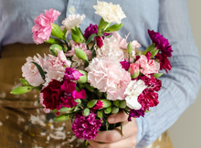 Load image into Gallery viewer, 100 Enfant de Nice Mix French Carnation Seeds