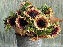 Load image into Gallery viewer, 25 Procut Plum Sunflower Seeds