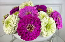 Load image into Gallery viewer, 100 Blueberry Swirl Zinnia Flower Seeds