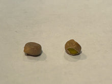 Load image into Gallery viewer, Bulk Pack Bluebonnet Flower Seeds