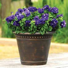 Load image into Gallery viewer, 25 Double Cascade Blue Petunia Flower Seeds