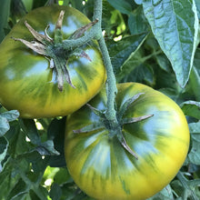 Load image into Gallery viewer, 10 Organic Cherokee Green Heirloom Tomato Vegetable Seeds