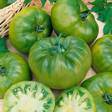 Load image into Gallery viewer, 10 Organic Cherokee Green Heirloom Tomato Vegetable Seeds