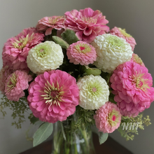 Load image into Gallery viewer, 100 Blushing Bride Pastel Mix Zinnia Flower Seeds