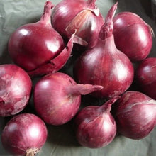 Load image into Gallery viewer, 20 Organic Red Shallot Vegetable Seeds