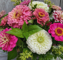 Load image into Gallery viewer, 100 Strawberry Swirl Zinnia Flower Seeds