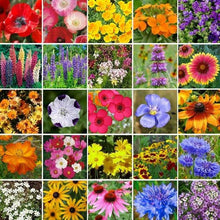 Load image into Gallery viewer, 2000+ Southern Flower Seed Mix