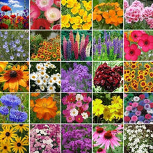 Load image into Gallery viewer, 2000+ Northern Flower Seed Mix