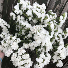 Load image into Gallery viewer, 50 Pacific Pastel Mix Statice Flower Seeds