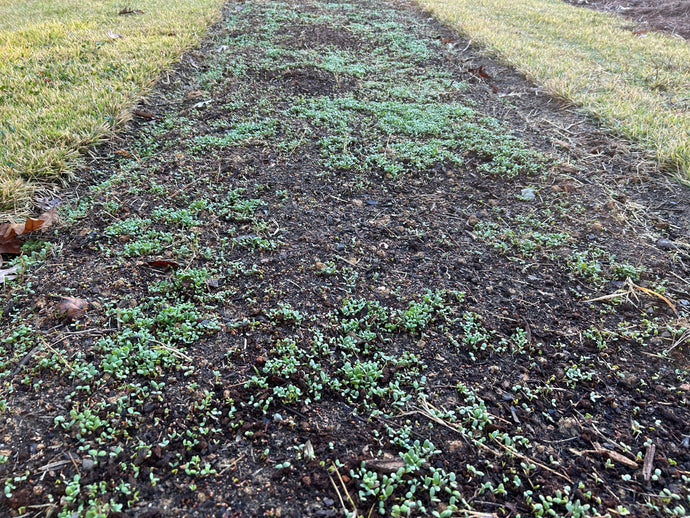 Garden Like a Farmer