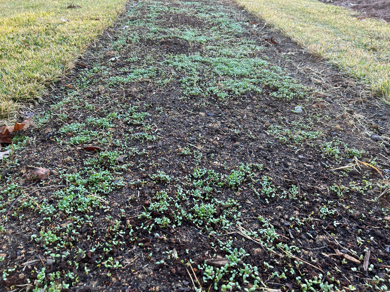 Garden Like a Farmer