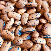 Load image into Gallery viewer, 25 Organic Dragons Tongue Bush Bean Vegetable Seeds
