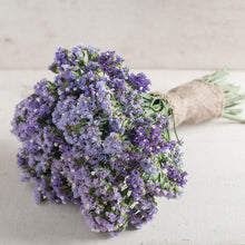 Load image into Gallery viewer, 50 Pastel Blue Statice Flower Seeds
