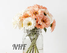 Load image into Gallery viewer, 100  Peaches and Cream Zinnia Flower Seeds
