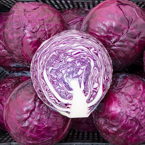 100 Organic Red Cabbage Vegetable Seeds