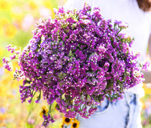 Load image into Gallery viewer, 50 Regal Purple Mix Statice Flower Seeds

