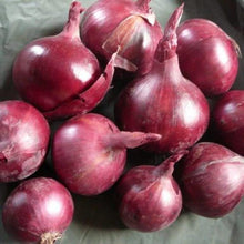 Load image into Gallery viewer, 20 Organic Red Shallot Vegetable Seeds
