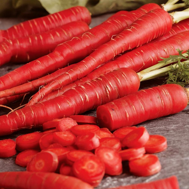 150 Organic Atomic Red Carrot Vegetable Seeds