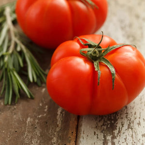 20 Organic Beefsteak Heirloom Tomato Vegetable Seeds