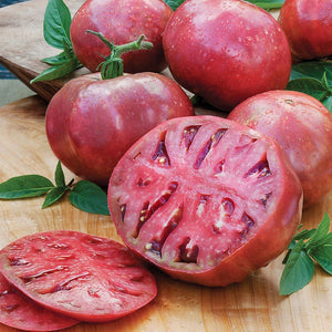 20 Organic Cherokee Purple Heirloom Tomato Vegetable Seeds