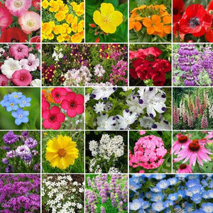 2000+ Partial Shade Flower Seed Mix