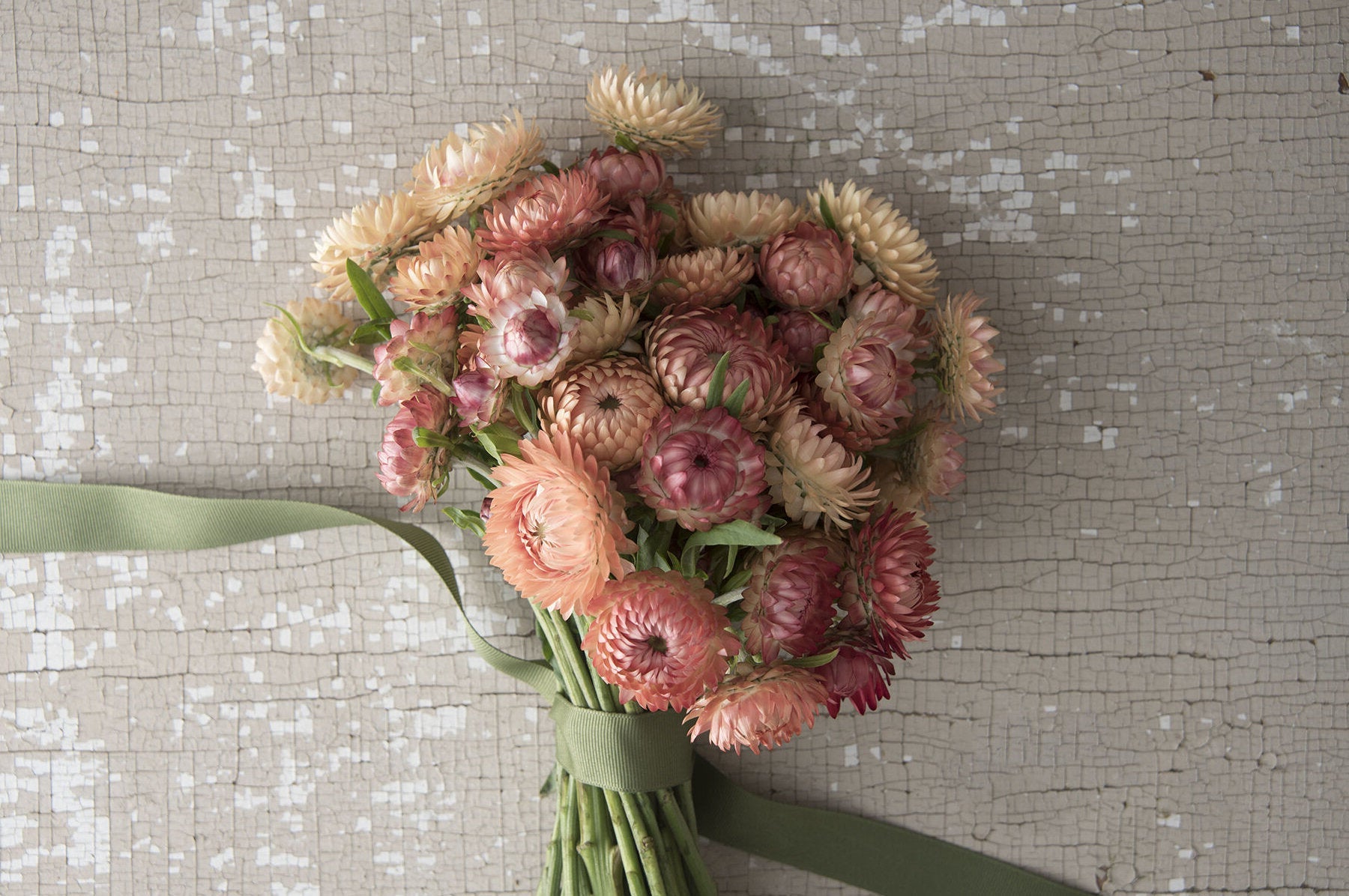peach flower seeds 100 Peach Apricot Strawflower Flower Seeds – New Hill Farms