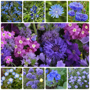 1000+ Blue Flower Seed Mix