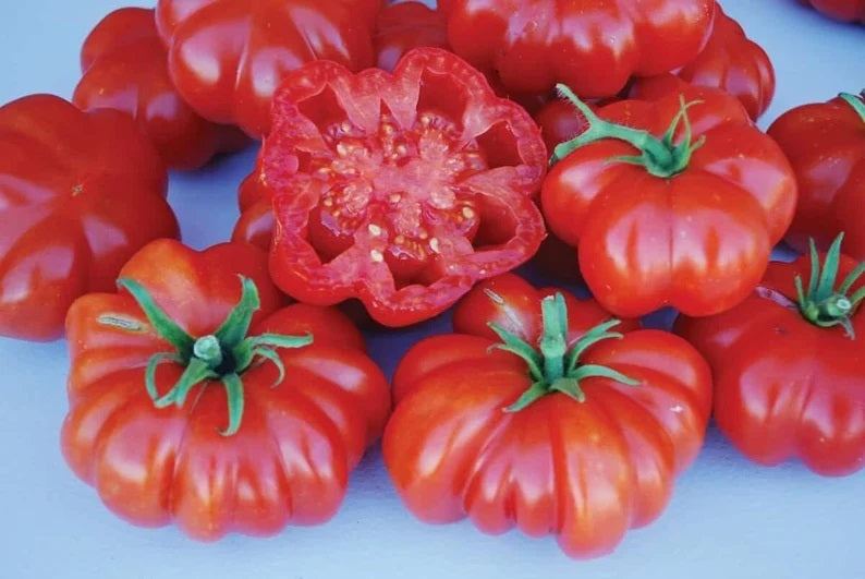 20 Organic Rosso Sicilian Heirloom Tomato Vegetable Seeds