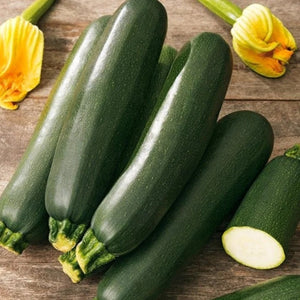 10 Organic "Black Beauty" Zucchini Vegetable Seeds